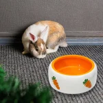 Gamelle en matériau durable pour lapins