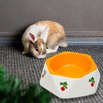 Bols d'alimentation pour lapins, adaptés à tous les âges