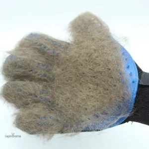 Accessoire de nettoyage pour poils de lapin