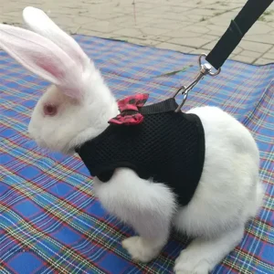 Veste lapin légère, idéale pour les saisons intermédiaires