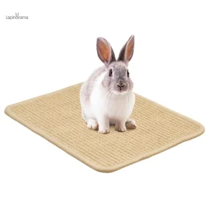 Tapis Grattoir Lapin pour le confort de votre animal