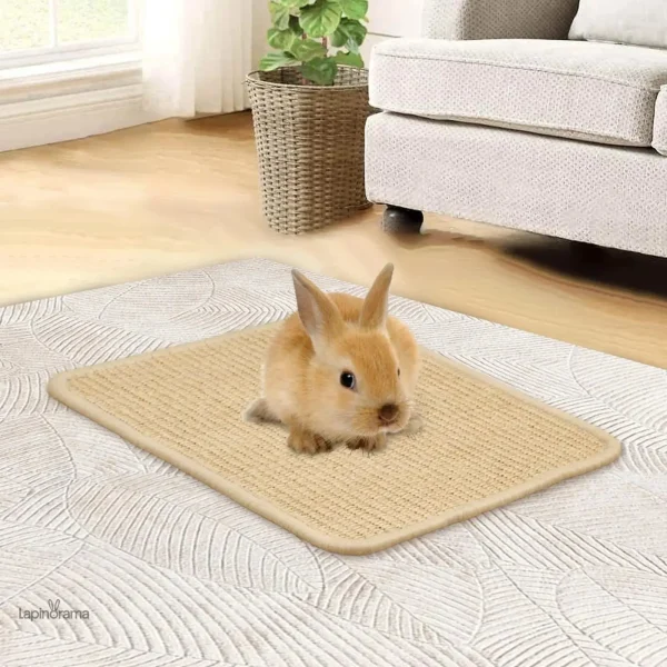 Tapis pour lapin, parfait pour un espace de jeu propre