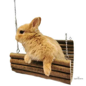 Hamac Lapin en bois pour un confort optimal