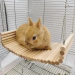 Hamac en bois avec design lapin pour les animaux