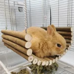 Hamac en bois pour lapins, accessoire idéal de repos