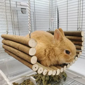 Hamac en bois pour lapins, accessoire idéal de repos