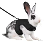 Harnais pour lapin confortable et ajustable