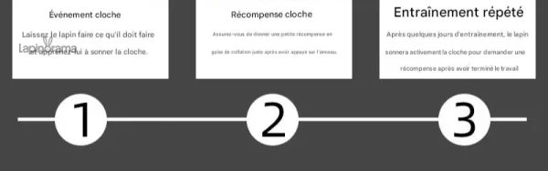 Accessoire amusant pour lapins, stimule l'activité et la curiosité
