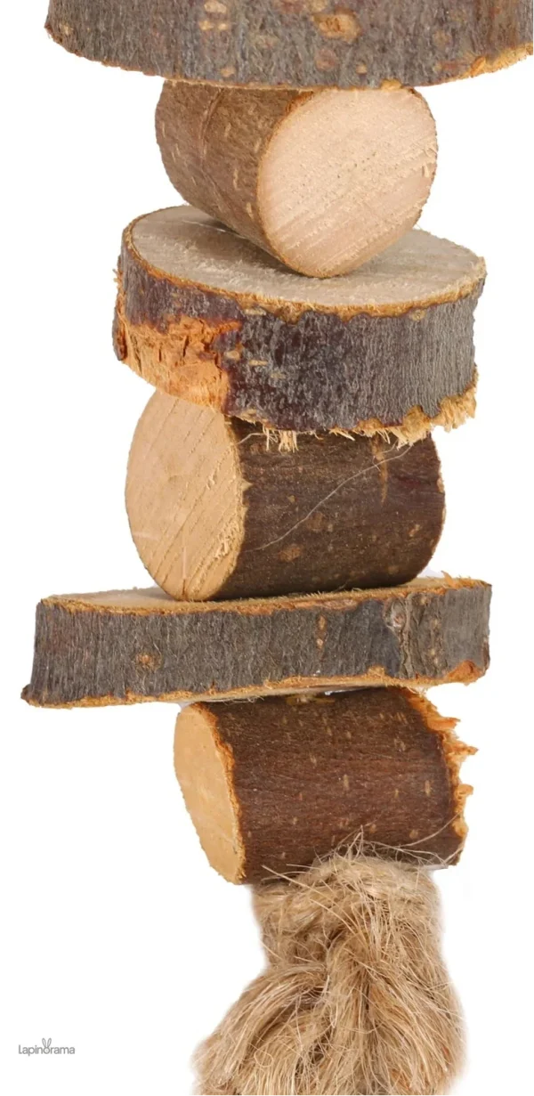 Jouet naturel en bois pour le divertissement des lapins