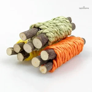 Jouet pour lapin en bois naturel, stimulant et sûr