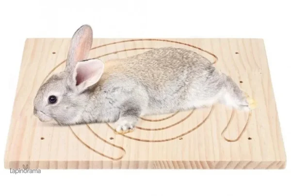 jouet-griffe-lapin-1 Jouet pour griffe lapin, idéal pour l'entretien des griffes