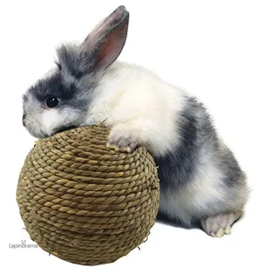 Jouet pour lapin : balle colorée pour stimuler le jeu