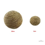 Balle pour lapin : jouet interactif pour le divertissement
