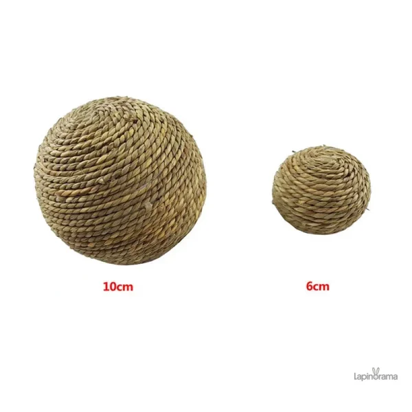 Balle pour lapin : jouet interactif pour le divertissement