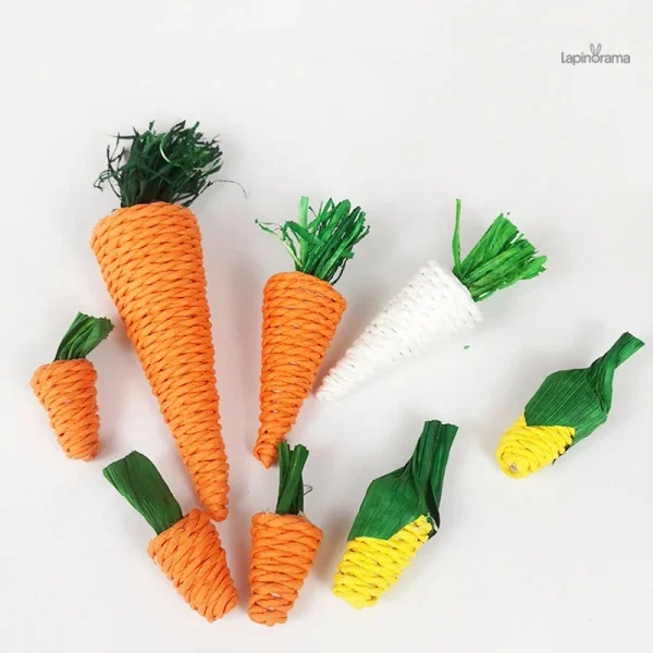 Accessoire ludique pour lapin bélier