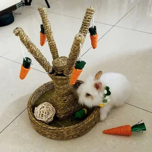 Jouet en forme de carotte pour lapin