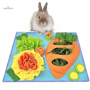 Jouet DIY pour lapin, jeu interactif amusant