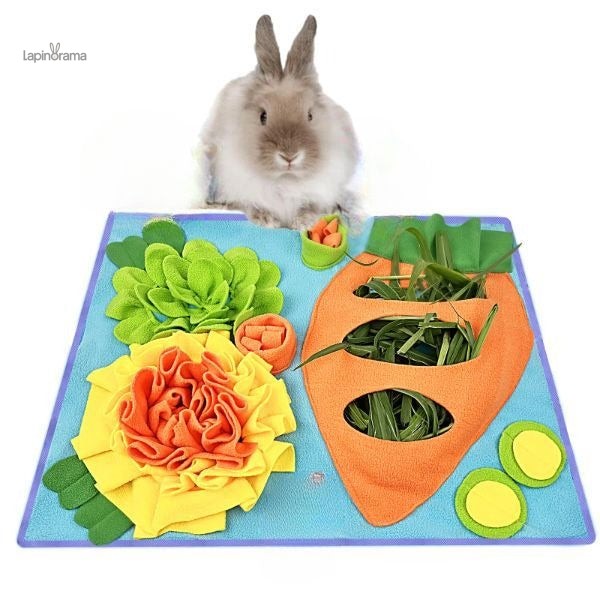 Jouets Lapin Extérieur