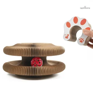 Jouet en carton pour lapin, amusant et durable