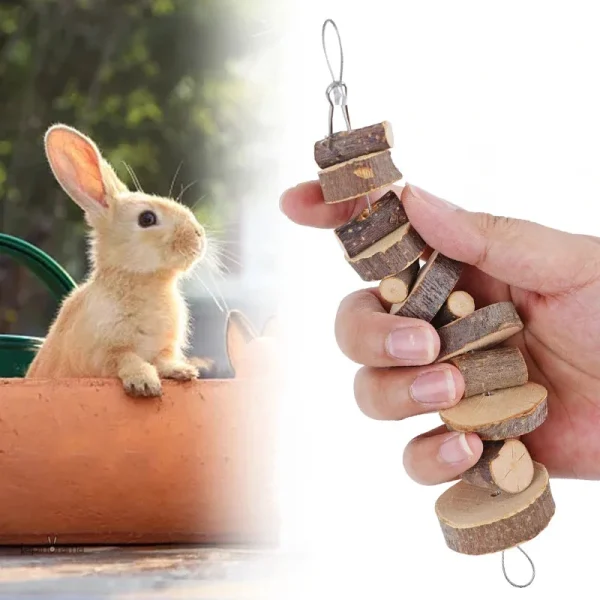 Jouet maison pour lapin, idéal pour l'amusement