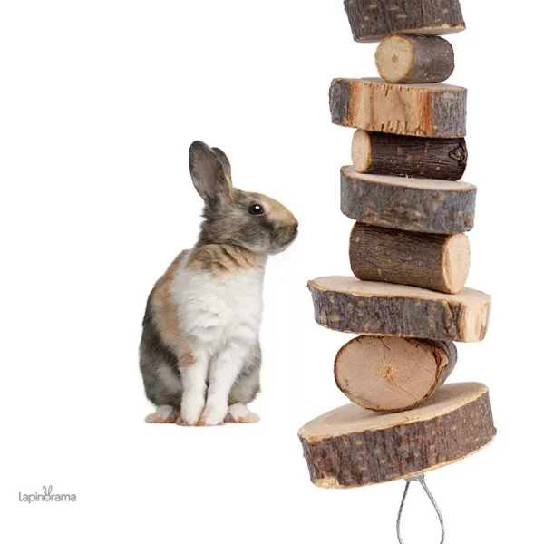 Habitat ludique pour lapins, favorisant l'interaction