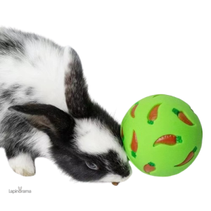 Jouet pour lapin nain bélier en matière douce et résistante