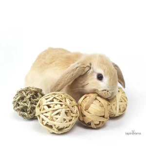 Jouet pour lapin nain en cage