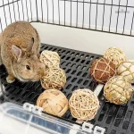 Accessoire ludique pour lapins nains