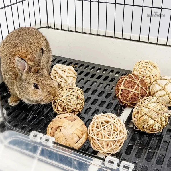 Accessoire ludique pour lapins nains