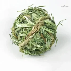 Objet de jeu pour lapins en intérieur