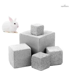 Jouet Pierre Lapin en peluche pour enfants