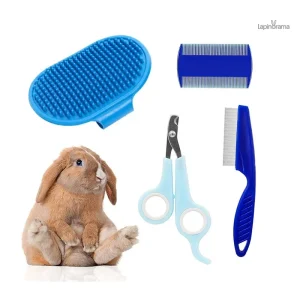 Kit de toilettage pour lapin, essentiel pour l'entretien