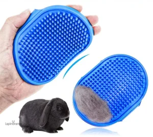 Outils de nettoyage adaptés aux besoins des lapins domestiques