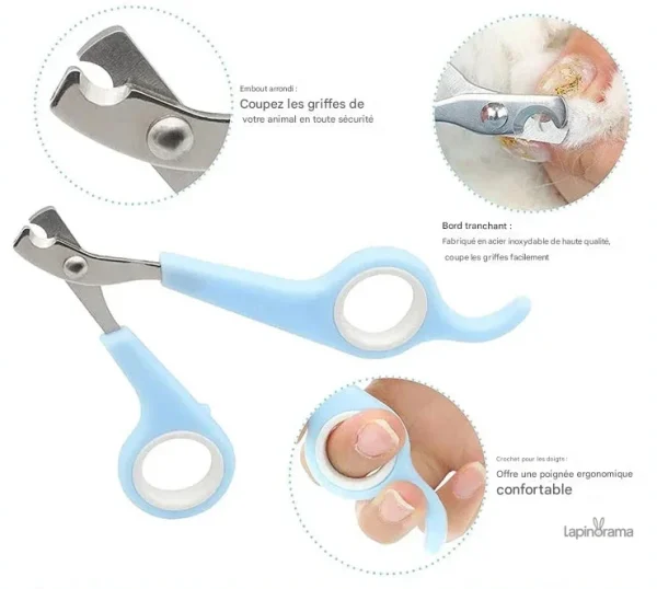 Kit complet pour le toilettage et le bien-être des lapins