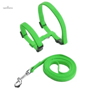 Accessoire pour lapin, laisse colorée et résistante