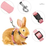 Laisse adaptée aux petits animaux, facile à utiliser