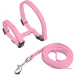 Accessoire pour promenade, laisse sécurisée pour lapin