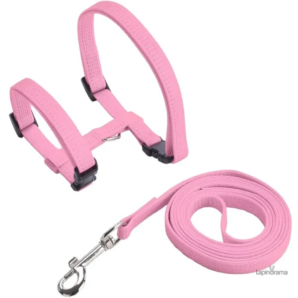 Accessoire pour promenade, laisse sécurisée pour lapin