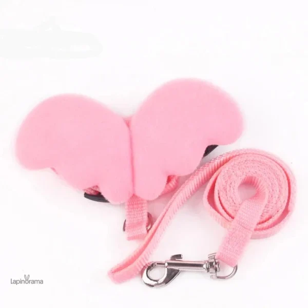 Laisse pour lapin avec motif d'ailes