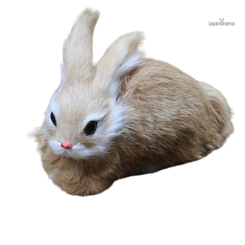 Maître Lapin