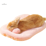Lit pour lapin confortable et douillet pour un sommeil paisible