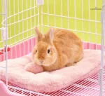 Couchage pour lapin, design accueillant et ergonomique