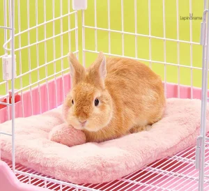 Couchage pour lapin, design accueillant et ergonomique