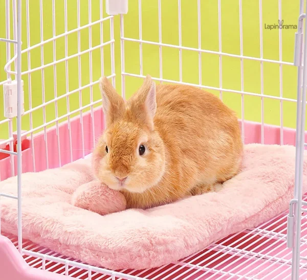 Couchage pour lapin, design accueillant et ergonomique
