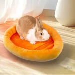 Confortable lit pour lapin nain, adapté aux petits rongeurs
