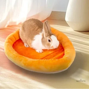 Confortable lit pour lapin nain, adapté aux petits rongeurs