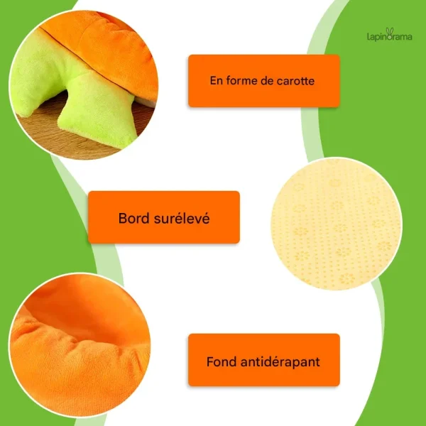 Refuge idéal pour lapins nains, favorisant le repos