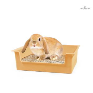 Litière pour lapin nain, adaptée et confortable