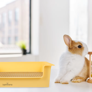 Confort optimal pour lapins nains avec cette litière