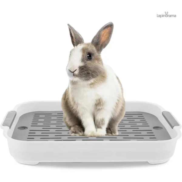 litiere-lapin-sans-odeur-1 Litière pour lapin sans odeur